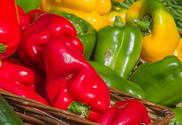 Termín pre výsev paprík už je tu