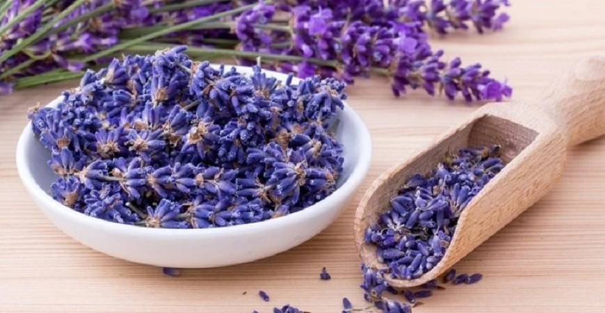 Levandule využijete v kuchyni i v domácej lekárni