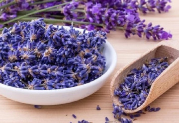 Levandule využijete v kuchyni i v domácej lekárni
