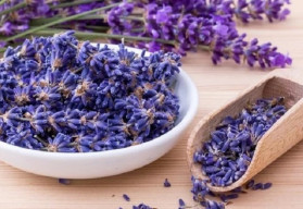 Levandule využijete v kuchyni i v domácej lekárni