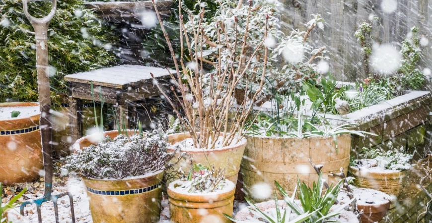 Aj v zime môže byť záhrada krásna a plná farieb