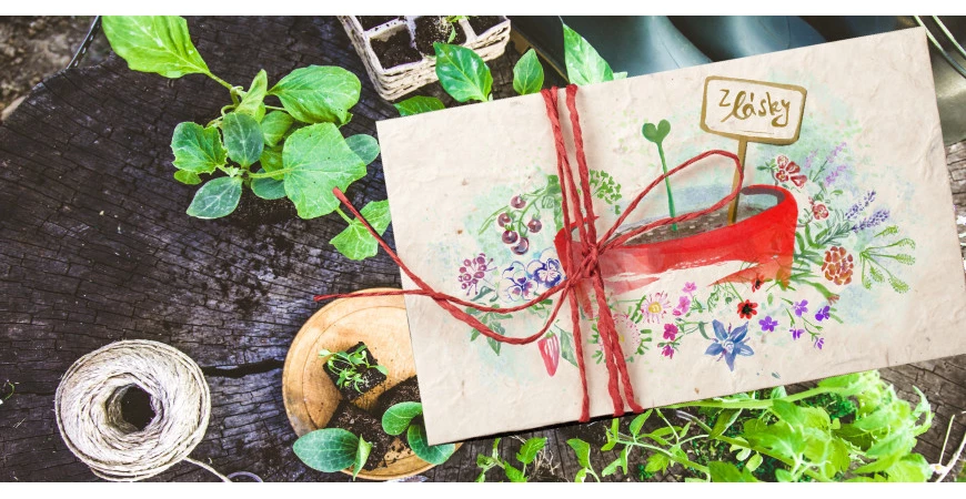 Potešte semienkami ako darček na Valentína