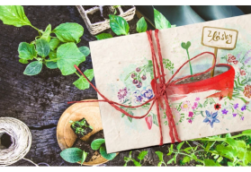 Potešte semienkami ako darček na Valentína