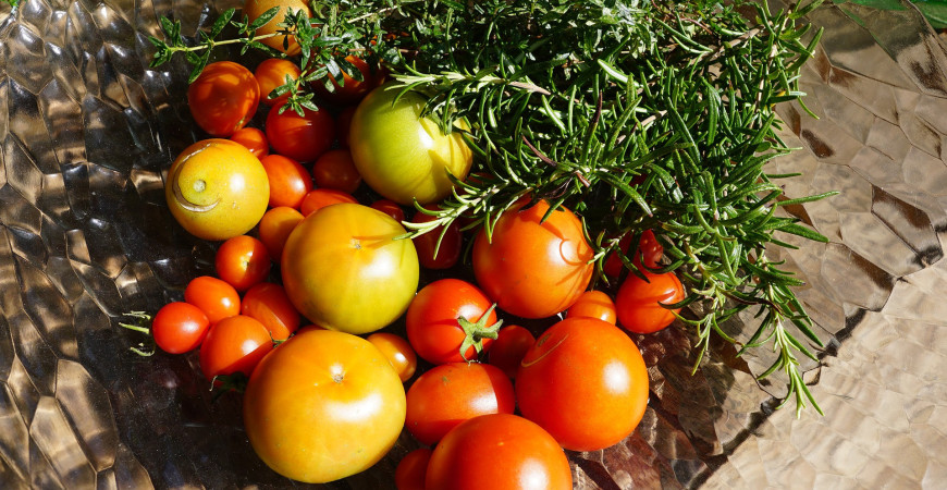 Novinky v našom sortimente