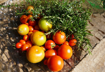 Novinky v našom sortimente