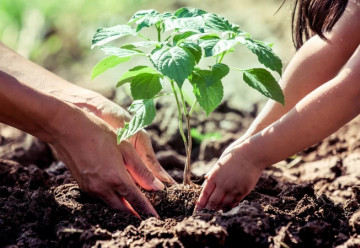 Záhradkárčite s deťmi?