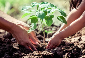 Záhradkárčite s deťmi?