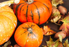 Tekvice sú typickou súčasťou jesenných dekorácií