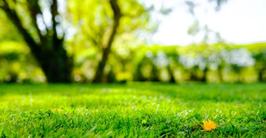 Nezabudnite sa na jeseň postarať aj o trávnik