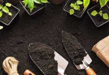 Zima je ideálna na kontrolu záhradného náradia, revíziu kvetináčov i semien