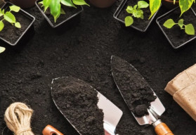 Zima je ideálna na kontrolu záhradného náradia, revíziu kvetináčov i semien