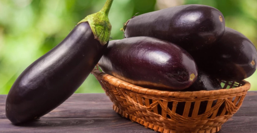 Baklažán a jeho pestovanie