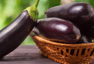 Baklažán a jeho pestovanie