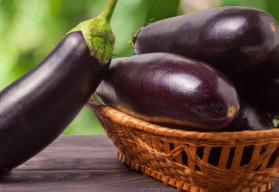 Baklažán a jeho pestovanie