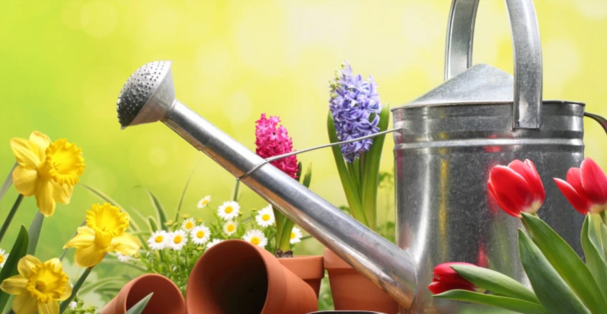 Staráte sa správne o rastliny?