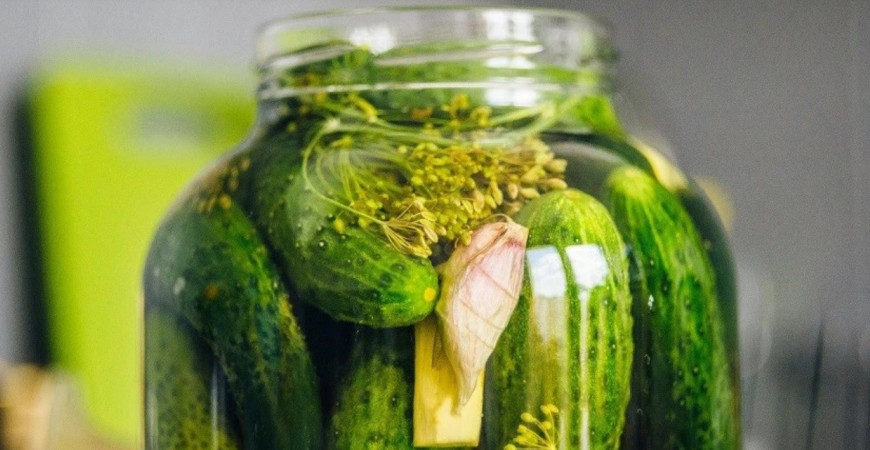 Prepuklo u vás uhorkové šialenstvo? Viete, že uhorky liečia?