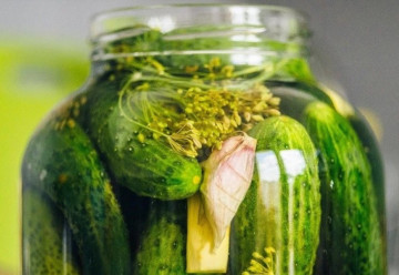 Prepuklo u vás uhorkové šialenstvo? Viete, že uhorky liečia?