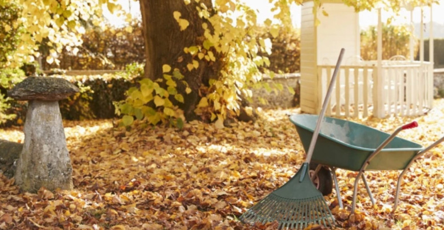 Jesenná záhrada: inšpirujte sa naším pracovným zoznamom