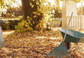 Jesenná záhrada: inšpirujte sa naším pracovným zoznamom