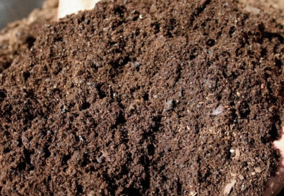 Kompost – nenahraditeľná surovina každého pestovateľa