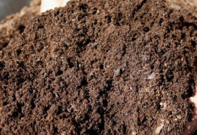 Kompost – nenahraditeľná surovina každého pestovateľa
