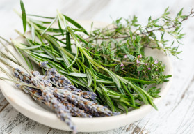 Ako zazimovať bylinky