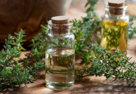 Tymian, ideálna bylinka ako pre milovníkov prírodného liečiteľstva, tak aj pre kuchárov