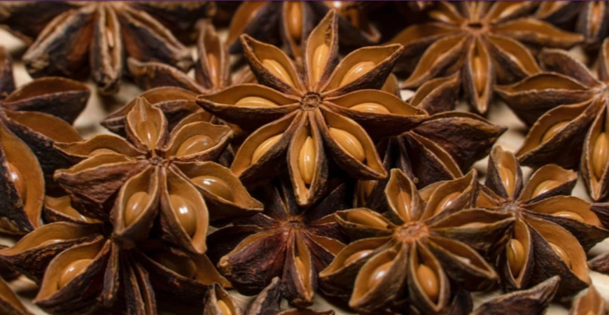 Pestovanie byliniek - aníz