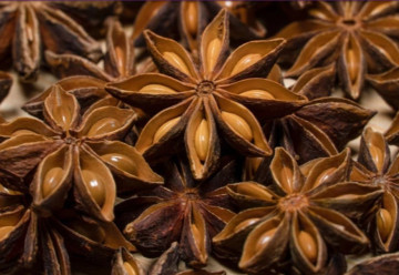 Pestovanie byliniek - aníz