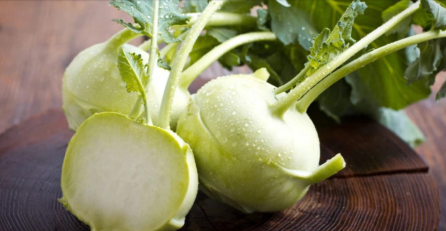 Kaleráb - pestovanie a využitie