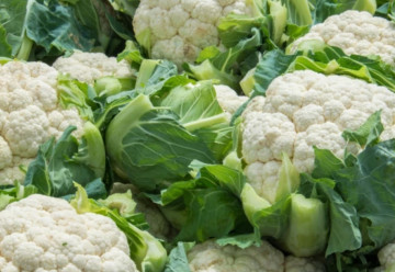 Karfiol – pestovanie a využitie