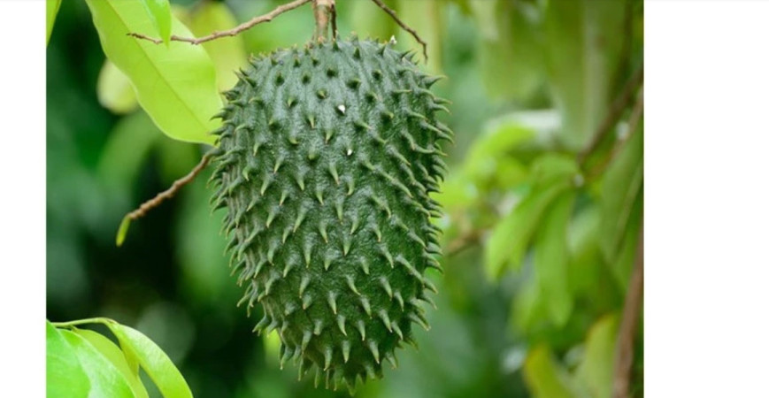 Chuť jahôd a banánu sa snúbi v anone