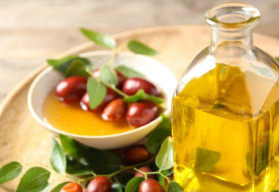 Vypestujte si jojobu