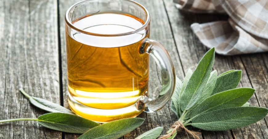 Šalvia a jej liečivé účinky