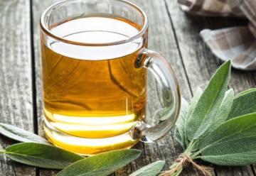 Šalvia a jej liečivé účinky