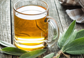 Šalvia a jej liečivé účinky