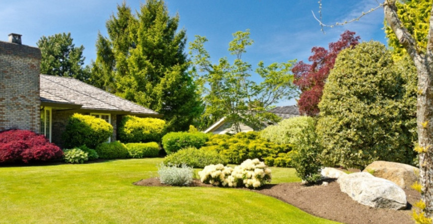 Dreviny odolné proti znečisteniu