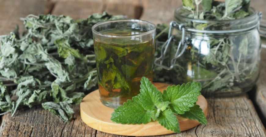 Bylinné čaje - výluh, nálev alebo odvar?