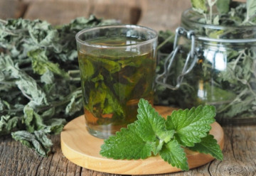 Bylinné čaje - výluh, nálev alebo odvar?