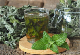 Bylinné čaje - výluh, nálev alebo odvar?