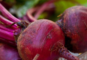 Cvikla - elixír zdravia